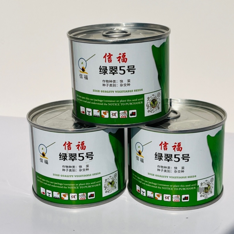 信福绿翠5号耐热直立快菜种子耐高温抗病耐雨黄心半包小白菜