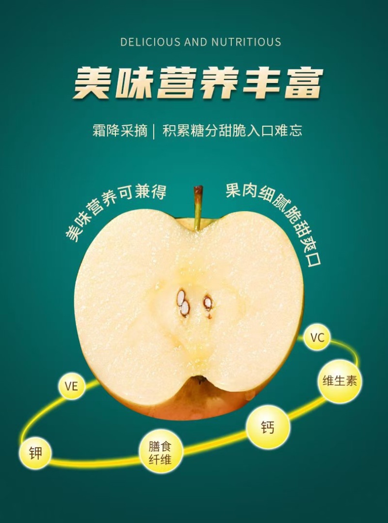 正宗山东烟台黄金奶油富士脆甜多汁新鲜采摘支持一件代发