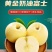 正宗山东烟台黄金奶油富士脆甜多汁新鲜采摘支持一件代发