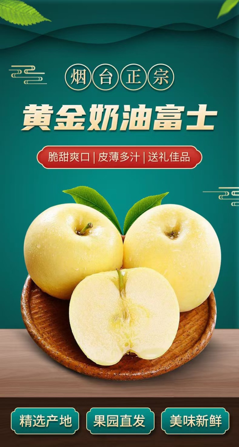 正宗山东烟台黄金奶油富士脆甜多汁新鲜采摘支持一件代发