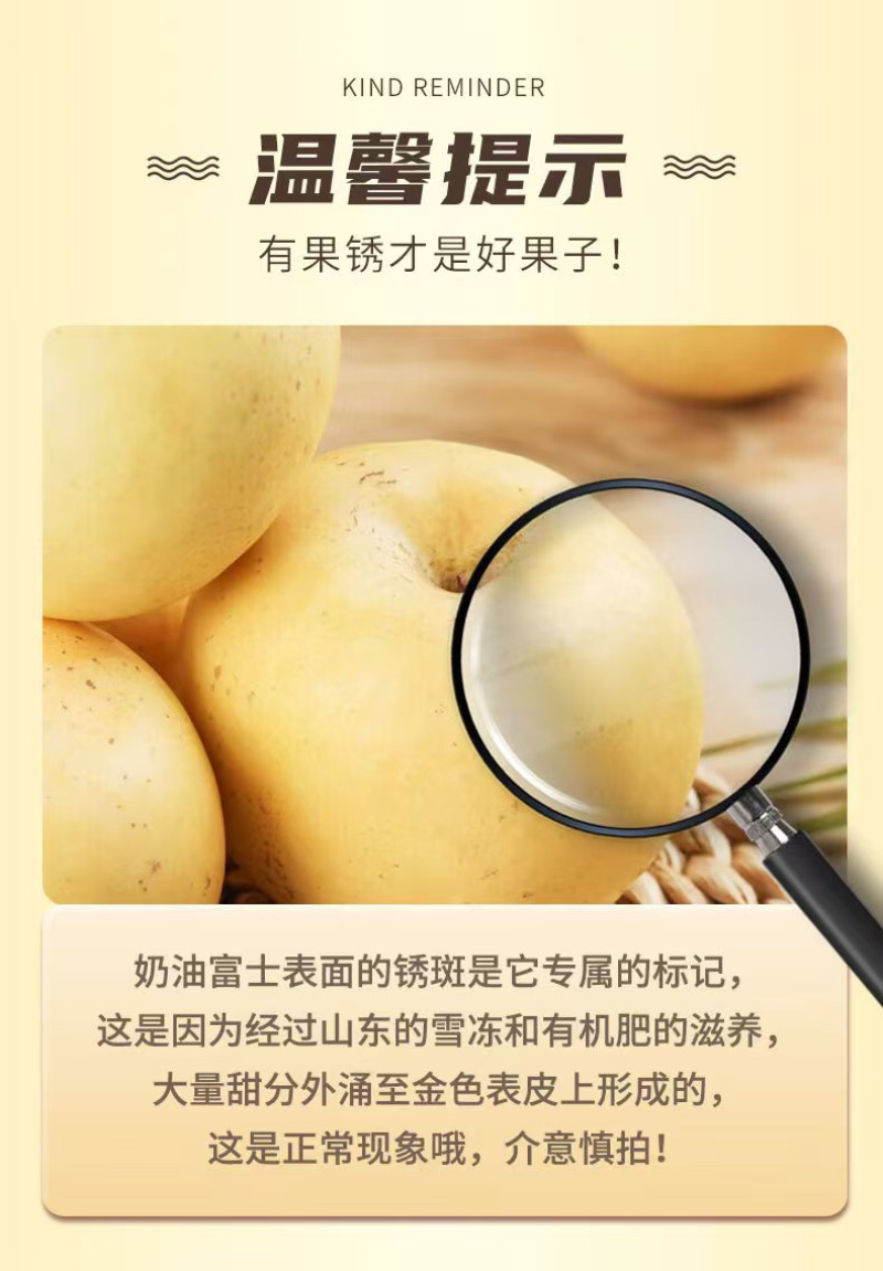 正宗山东烟台黄金奶油富士脆甜多汁新鲜采摘支持一件代发