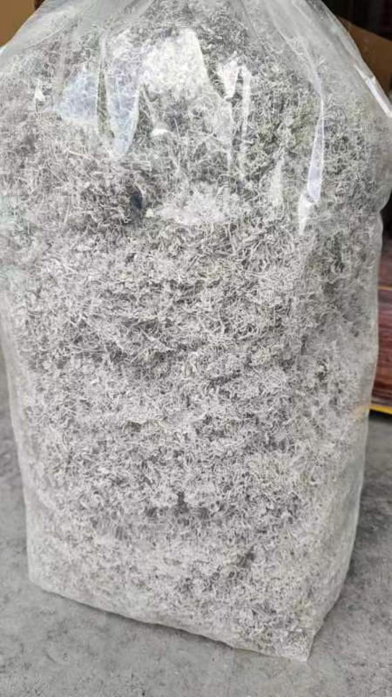 25年藤茶（莓茶）明前芽头，高品质，