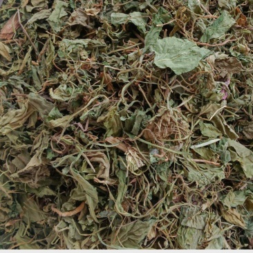 紫花地丁药用新货整颗,片,规格齐全实拍现货24小时内发货