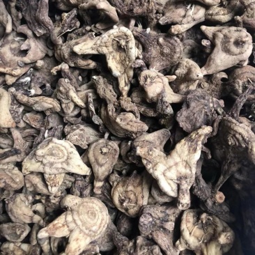 陕西商洛地产紫花白芨，欢迎新老客户前来购买。