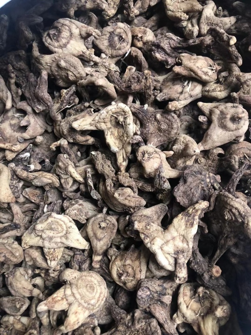 陕西商洛地产紫花白芨，欢迎新老客户前来购买。