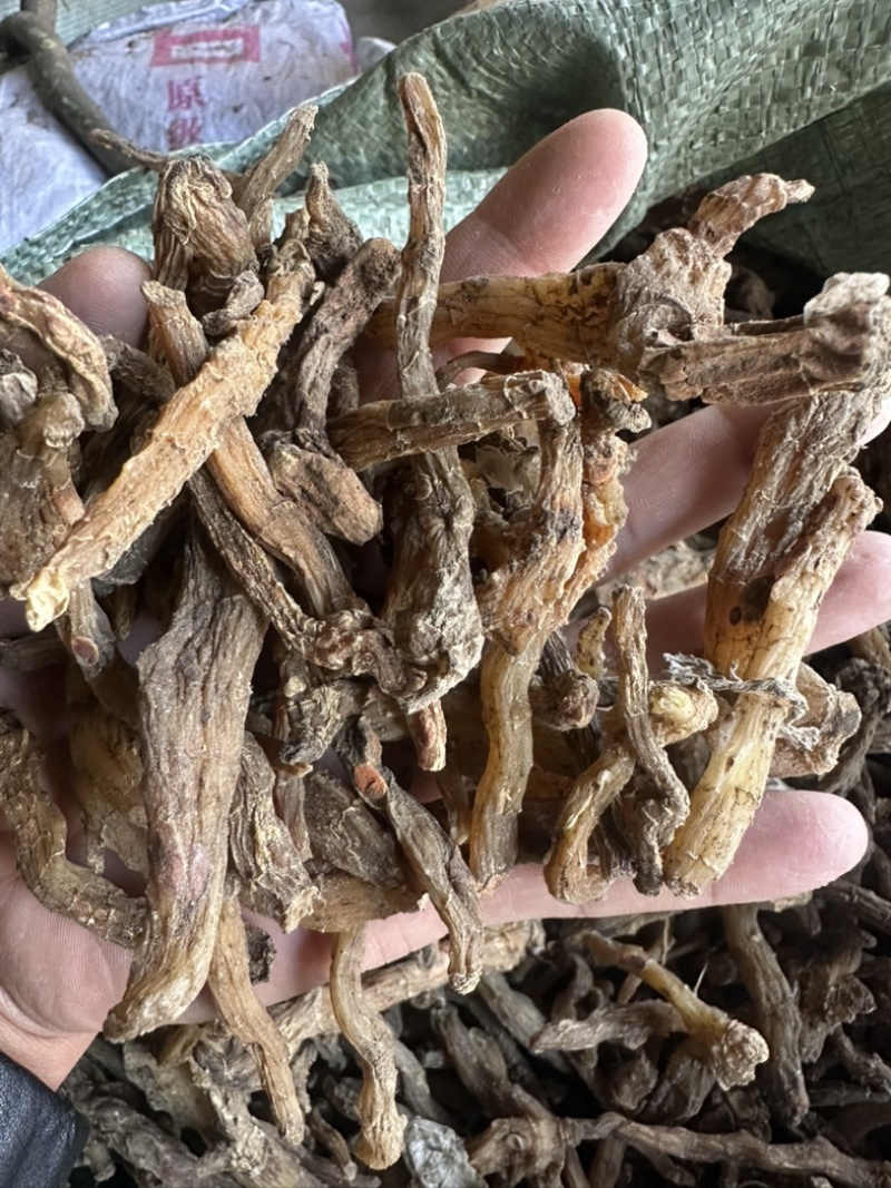 陕西商洛鸡头黄精，欢迎新老顾客前来洽谈😊