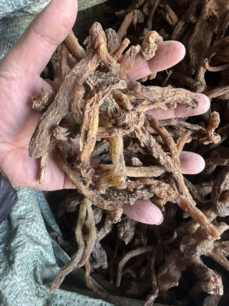陕西商洛鸡头黄精，欢迎新老顾客前来洽谈😊