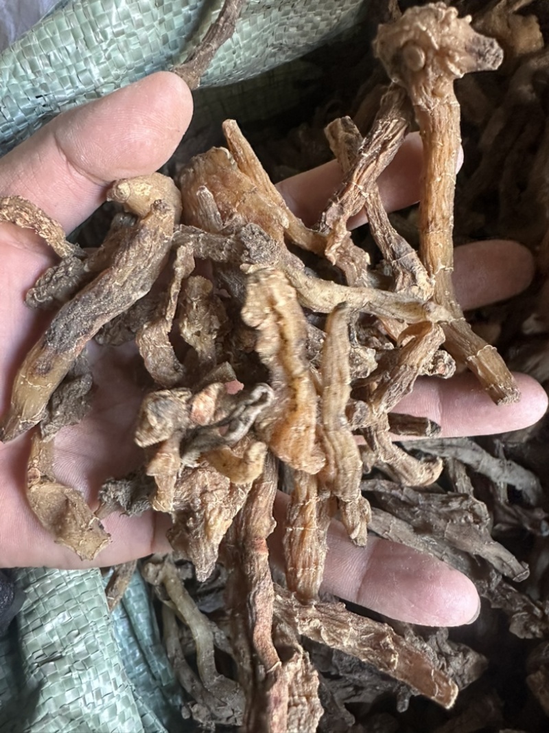 陕西商洛鸡头黄精，欢迎新老顾客前来洽谈😊
