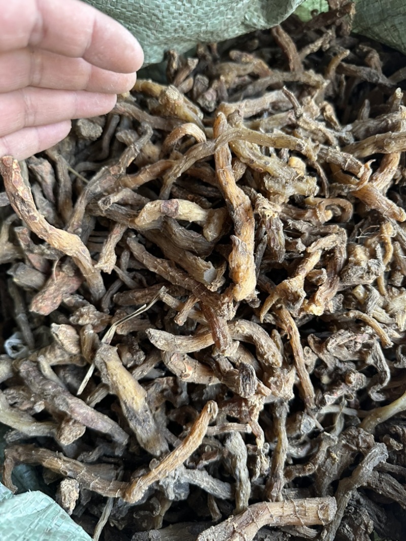 陕西商洛鸡头黄精，欢迎新老顾客前来洽谈😊