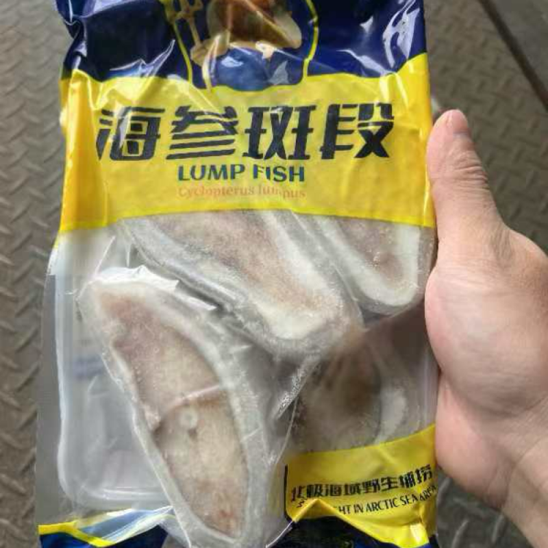 海参斑海鲜冰岛去内脏海鱼软骨石斑鱼深海鱼口感鲜嫩爽滑