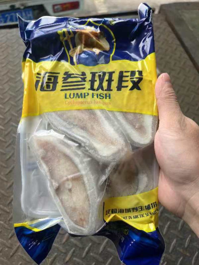 海参斑海鲜冰岛去内脏海鱼软骨石斑鱼深海鱼口感鲜嫩爽滑