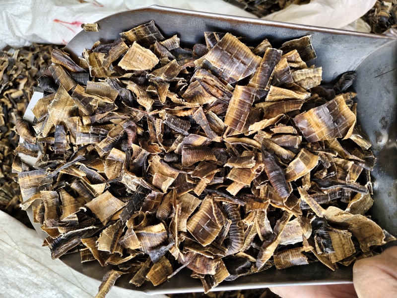 地龙全开地龙正品中药材广地龙无泥沙杂质，地龙段