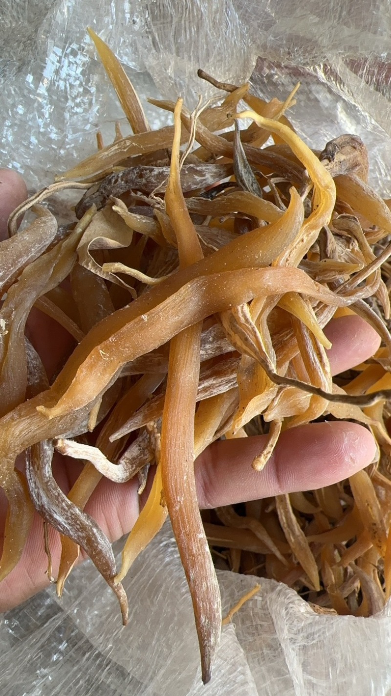 陕西商洛地产天冬，品质好，欢迎新老顾客前来选购
