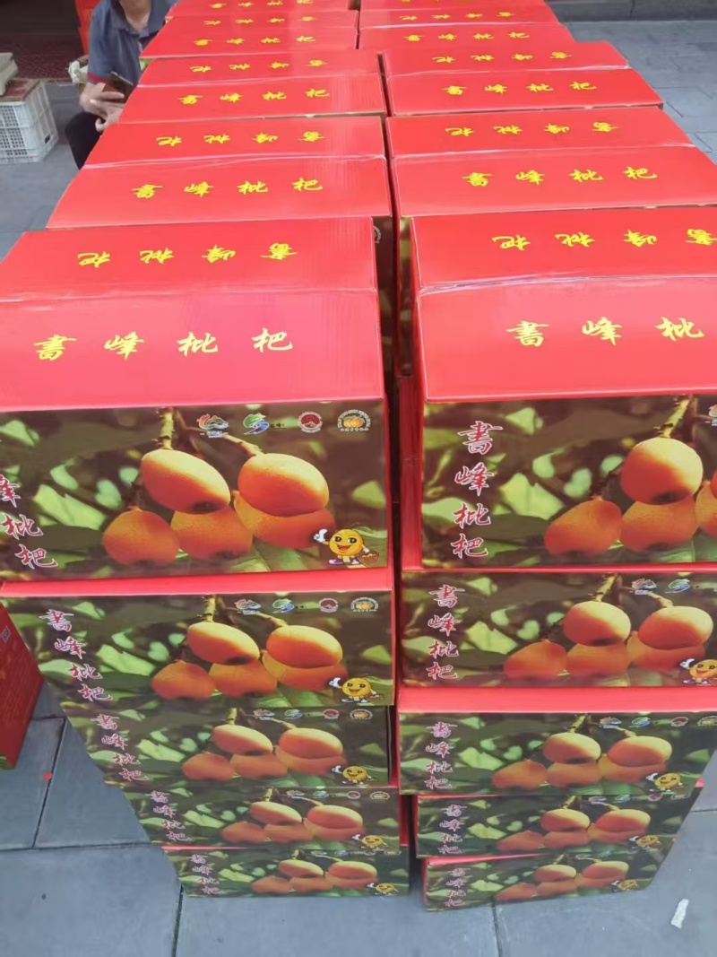 【量大优惠】福建枇杷书峰枇杷品质保障对接电商批发