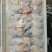 土鸡爪土鸡翅