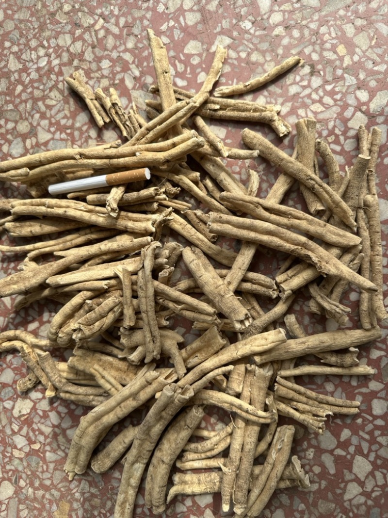 陕西商洛秦岭野生白鲜皮，品质好含量高，欢迎选购。
