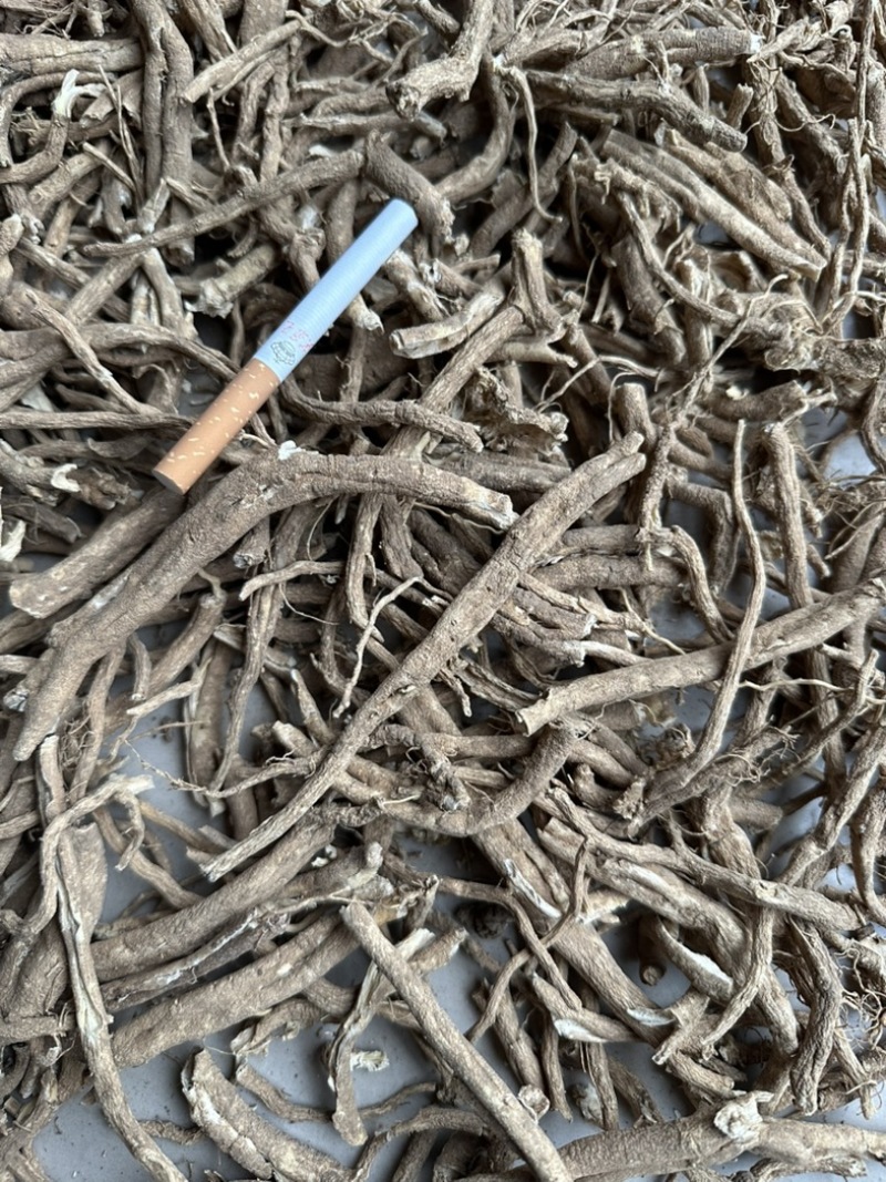 陕西商洛秦岭野生白鲜皮，品质好含量高，欢迎选购。