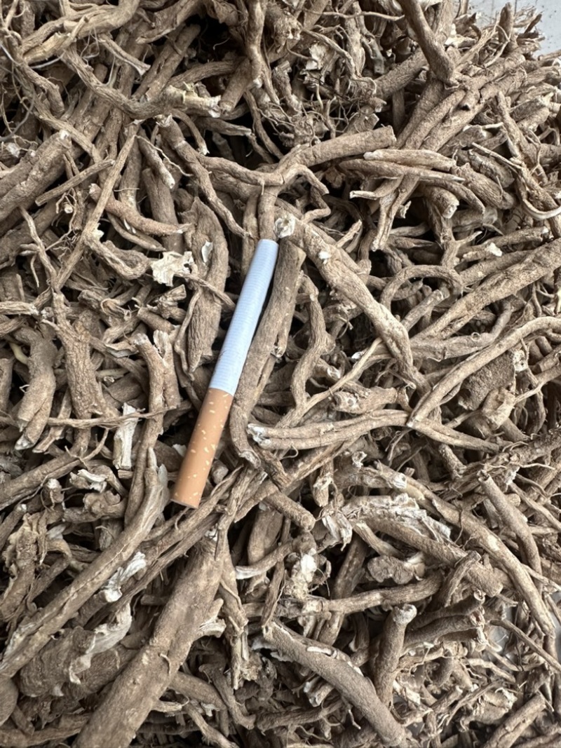 陕西商洛秦岭野生白鲜皮，品质好含量高，欢迎选购。