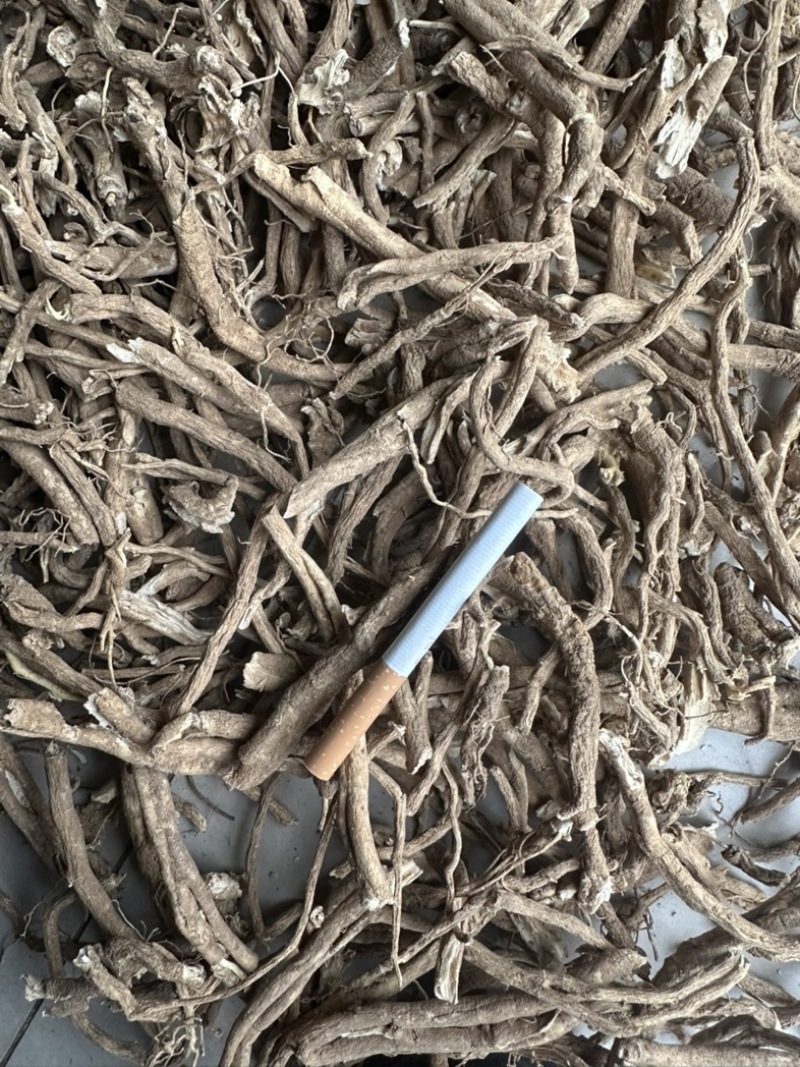 陕西商洛秦岭野生白鲜皮，品质好含量高，欢迎选购。