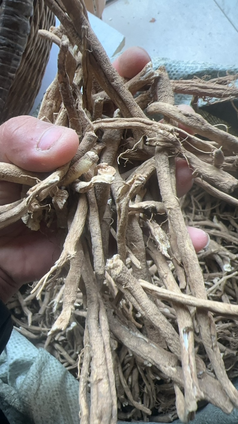 陕西商洛秦岭野生白鲜皮，品质好含量高，欢迎选购。