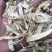 陕西商洛高含量带皮桔梗斜片，欢迎选购