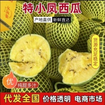 【精品】特小凤西瓜熟度好质量高欢迎咨询诚信代办