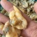 蚬子肉蛤蜊肉杂色花甲肉黄蚬子肉海鲜贝肉批发