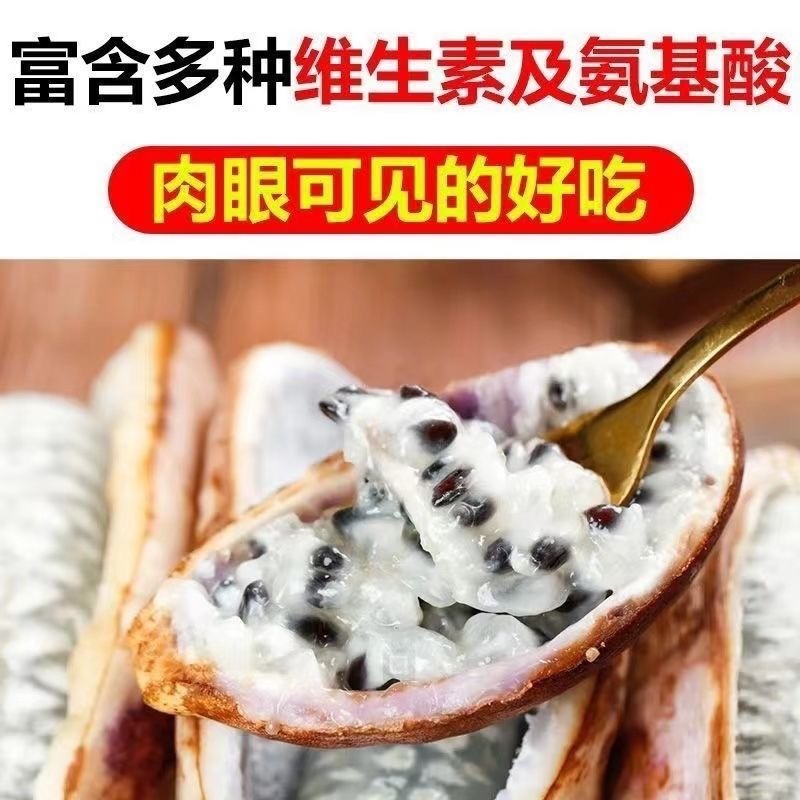 八月瓜种子批发八月炸种子膳食纤维新种子