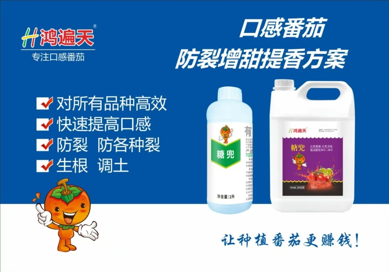 糖兜组合口感番茄防裂增添提香方案番茄专用肥料水溶肥有机肥
