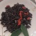 九华黄精茶一手货源有机认证可授权九华山黄精使用防打假