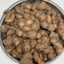 云南边境山区沙姜郑总货品原装货品沙姜鲜货