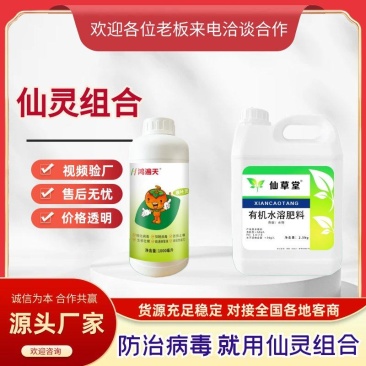 仙灵组合防病毒治口感番茄圣女果专用肥料套餐防治小叶黄叶