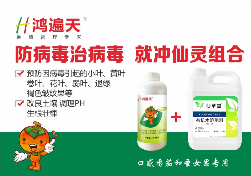 仙灵组合防病毒治口感番茄圣女果专用肥料套餐防治小叶黄叶