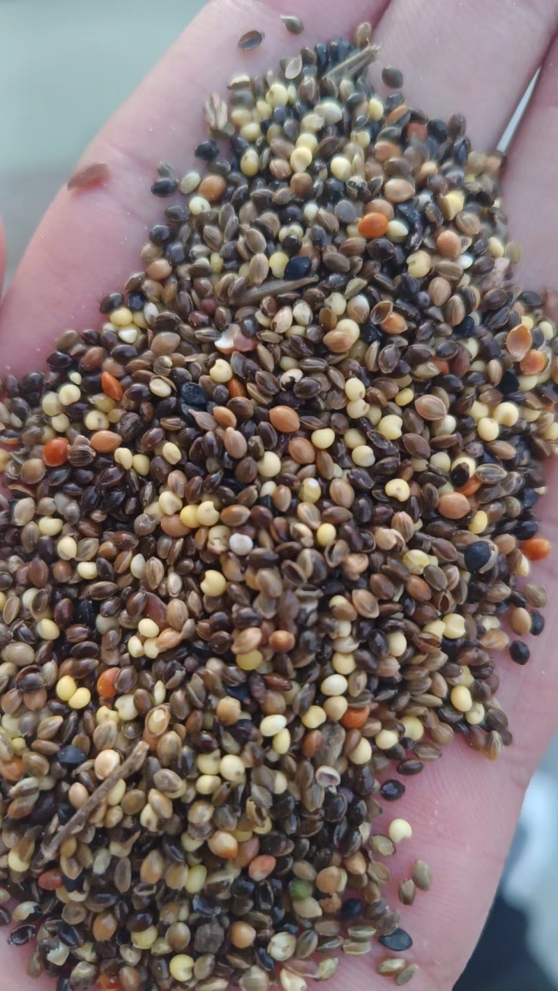 小杂粮鸡鸭鹅养殖专用量大从优厂家直销
