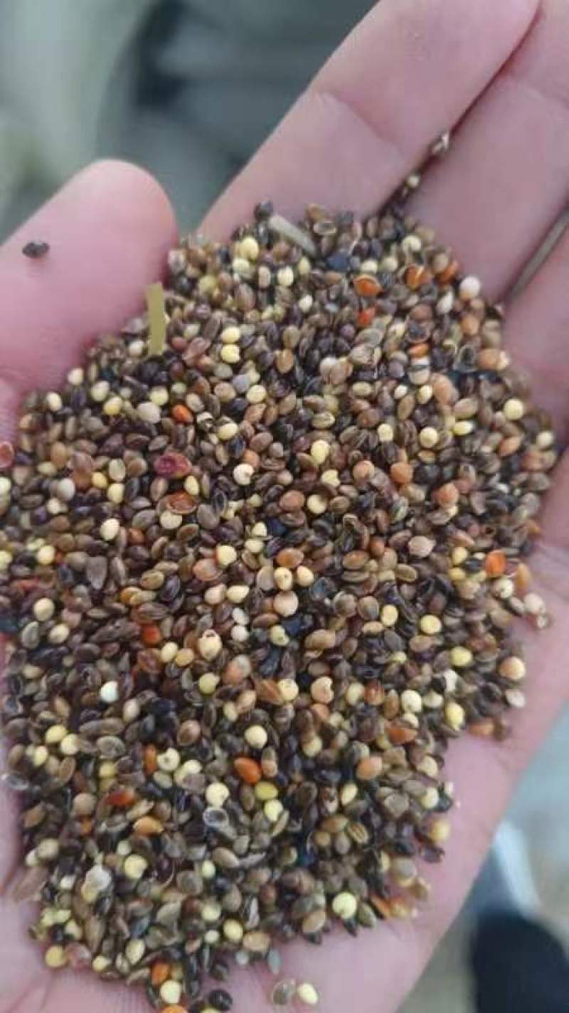 小杂粮鸡鸭鹅养殖专用量大从优厂家直销