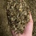 纯叶相思茶、鸡骨草茶、牛甘叶茶