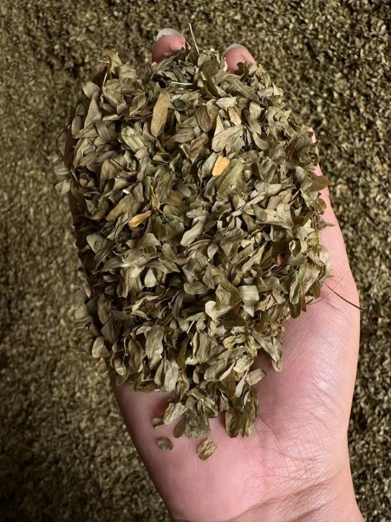 纯叶相思茶、鸡骨草茶、牛甘叶茶
