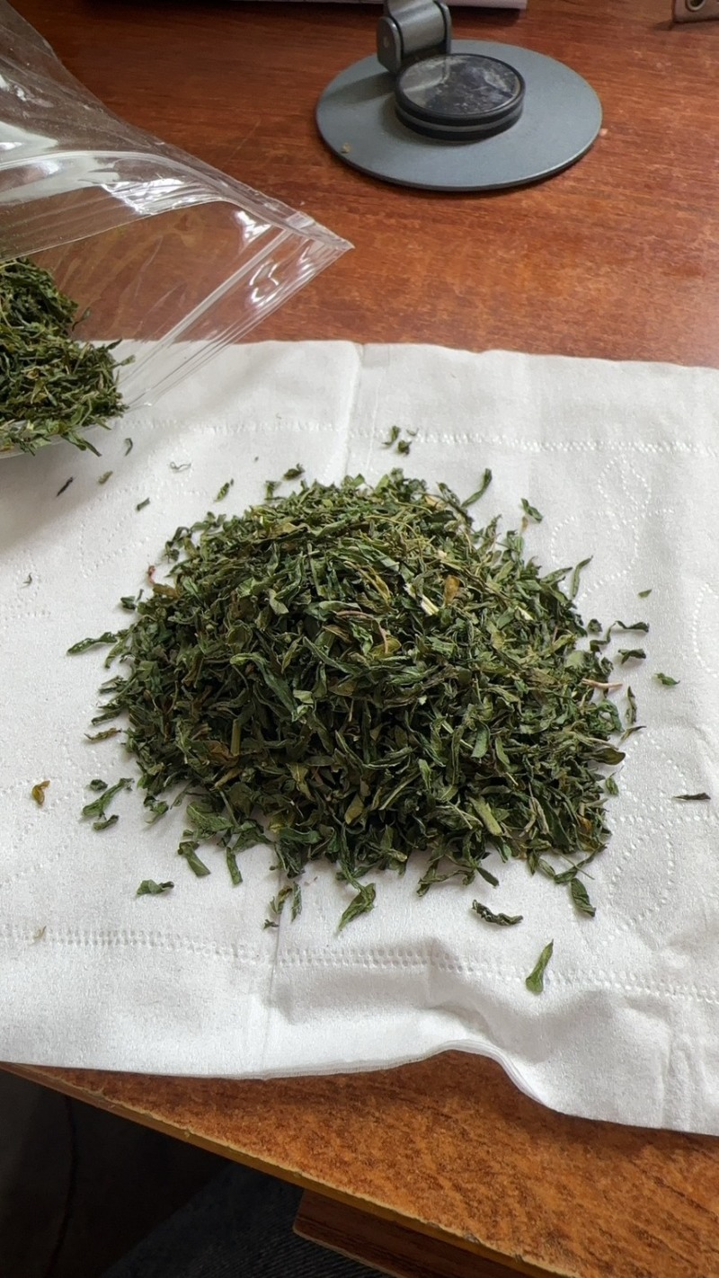 纯叶相思茶、鸡骨草茶、牛甘叶茶