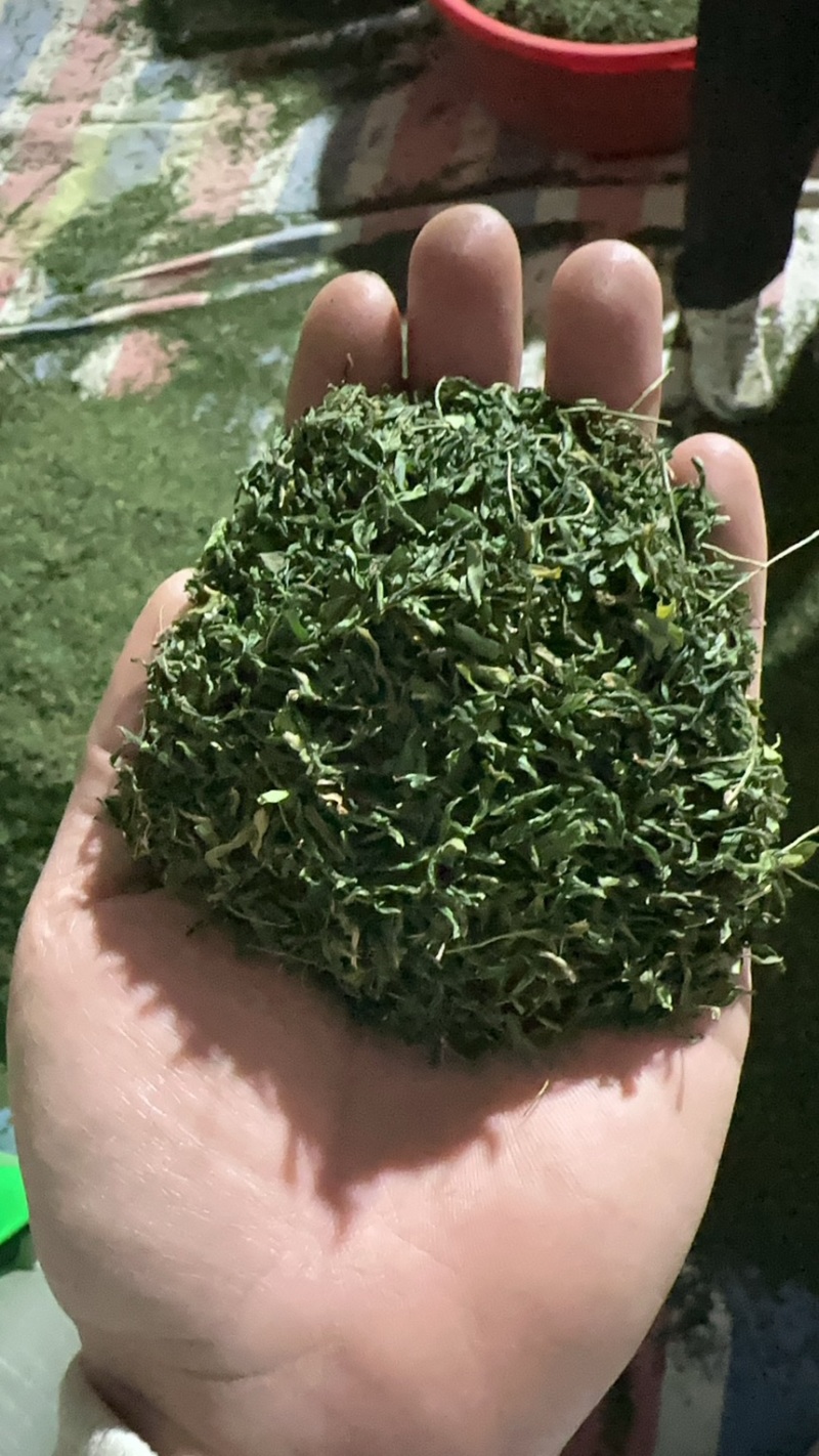 纯叶相思茶、鸡骨草茶、牛甘叶茶