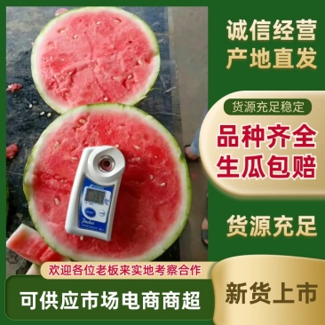 商丘万亩西瓜美都麒麟8424西瓜头茬保熟品质好