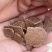 花生饼，厂家直销，味道浓，适口性好，可养殖，可育肥。