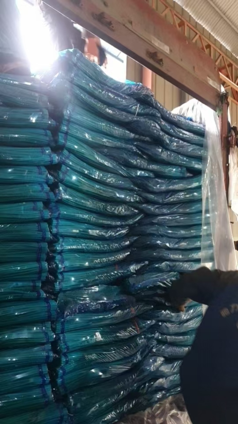 山东金乡蒜薹基地一手货源对接电商市场商超保证质量