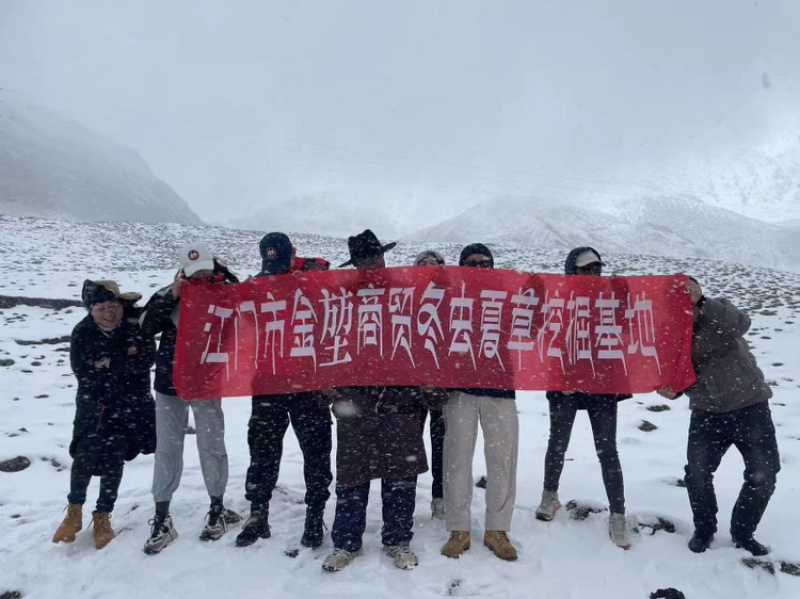 2026西藏新鲜冬虫夏草上市现挖现发48小时送达