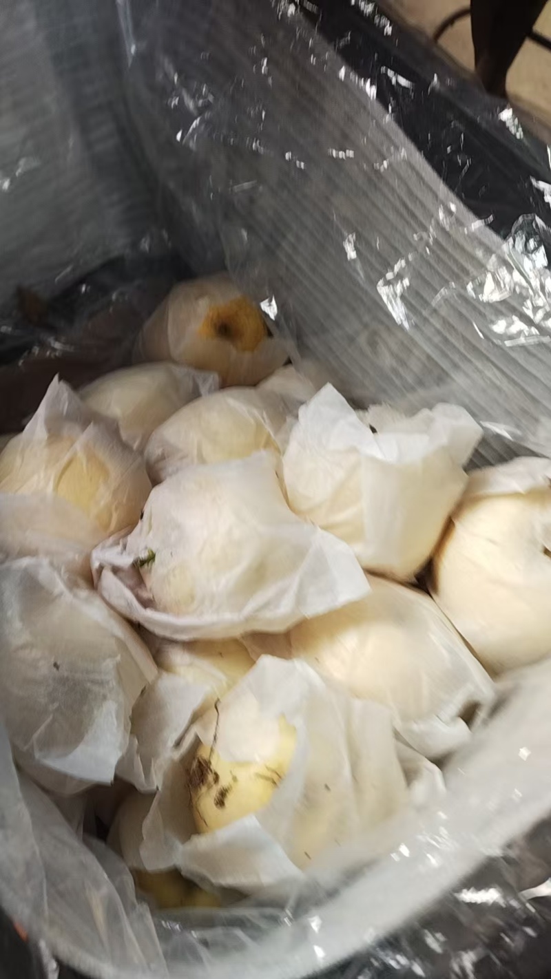 多汁奶油富士苹果量大从优质量保证诚信经营欢迎咨询