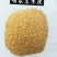 喷浆玉米皮，家禽，反刍动物的选择，量大从优！