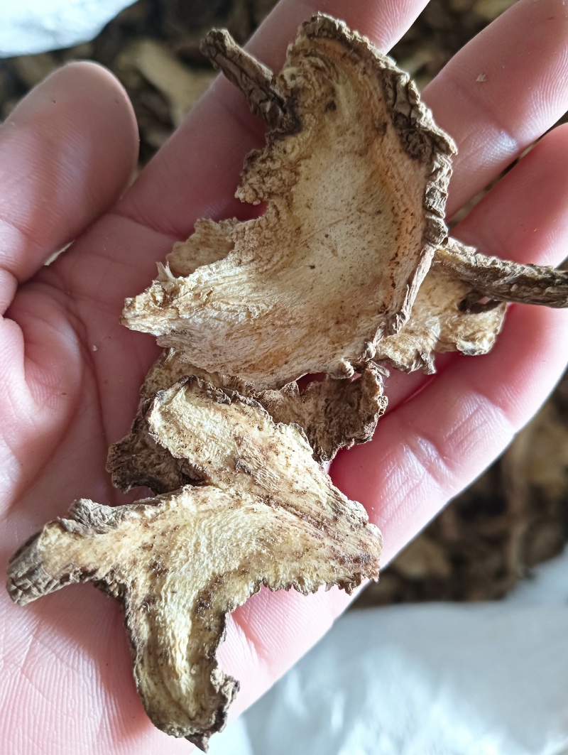 独活实物实拍规格任选批发各种中药材欢迎选购