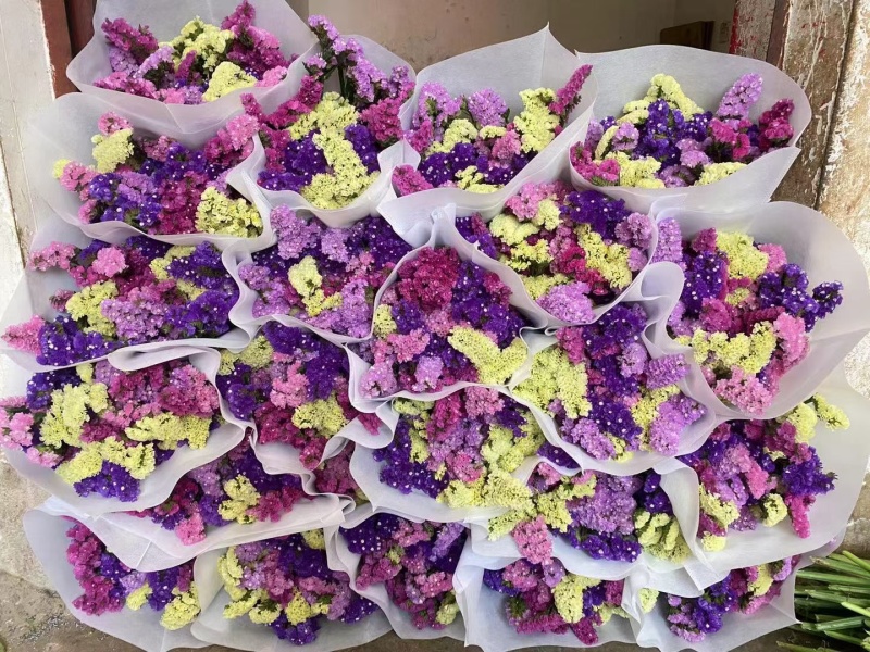 混色搭配勿忘我，情人草，水晶花，200斤起批
