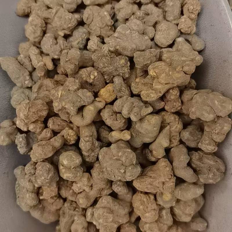 中药材夏天无大货直售