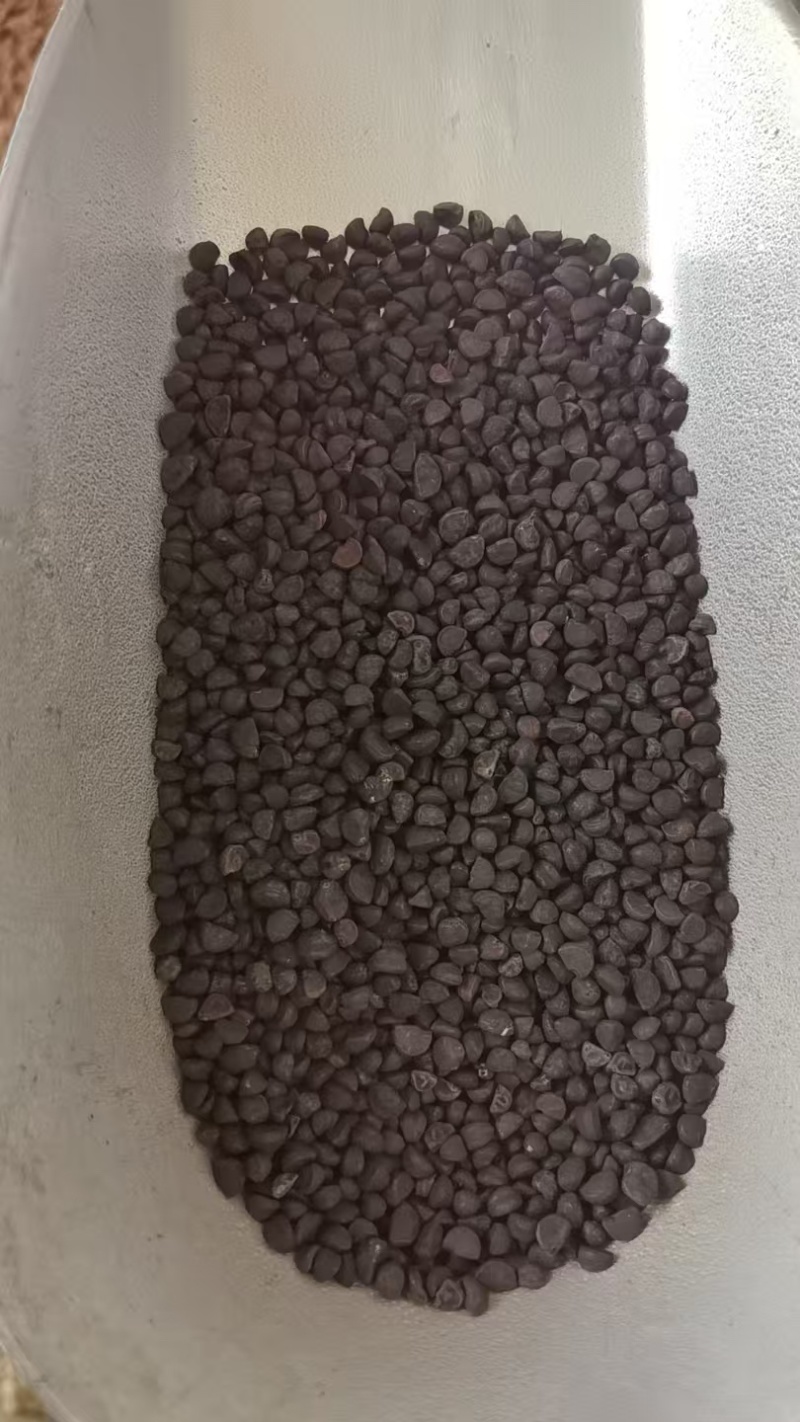 牵牛子中药材销售