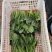 菠菜